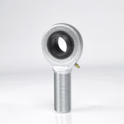 Male (right-handed) Male (right-handed)